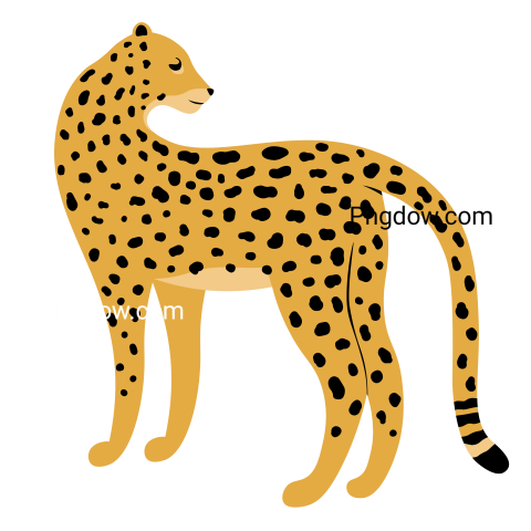 Illustration of Leopard, transparent Background, free vector