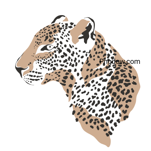 Magic Jungle Leopard, transparent Background, free vector
