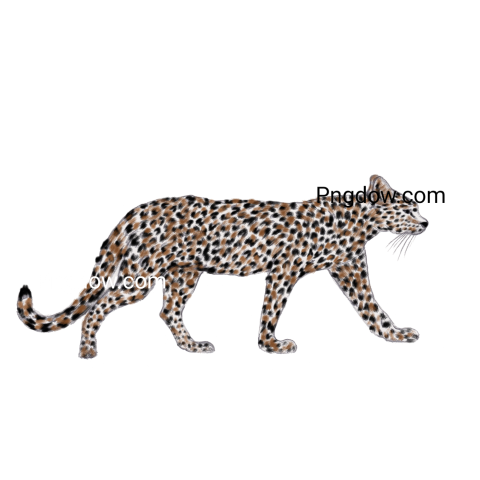 Leopard Png transparent Background for free, (1)