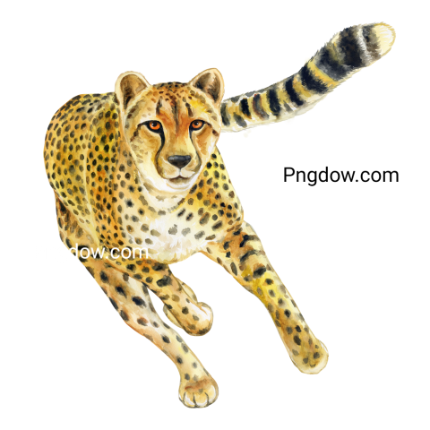 Cheetah Running Watercolor Illustration