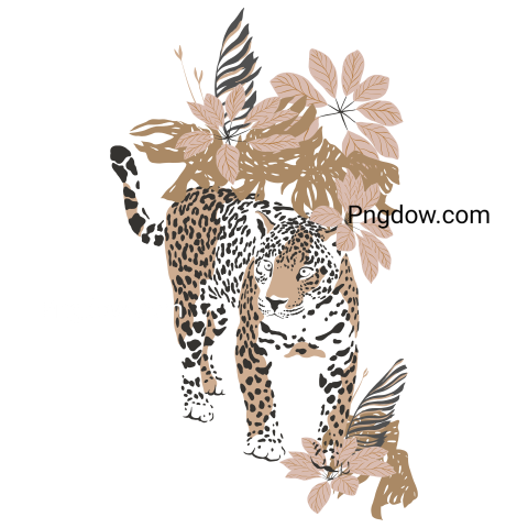 Magic Jungle Leopard, transparent Background,free vector