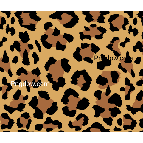 Leopard Png transparent Background for free, (3)