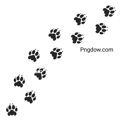 Tiger Paw Prints, transparent Background image free