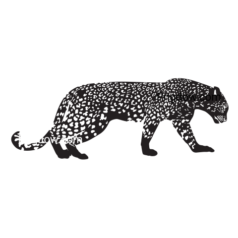 Leopard Png transparent Background for free, (6)