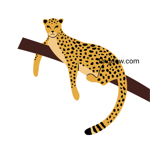 Hand Drawn Leopard, transparent Background