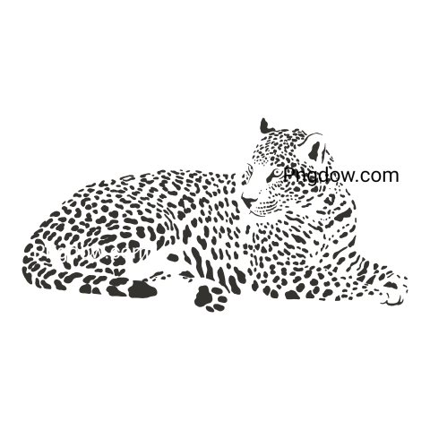 Magic Jungle Leopard, transparent Background image, free vector