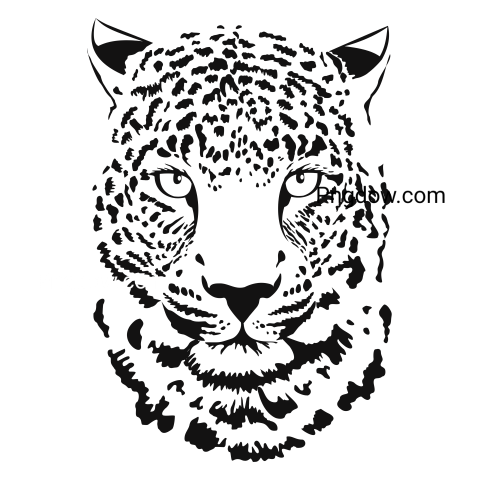 Leopard Head Illustration, transparent Background, free vector