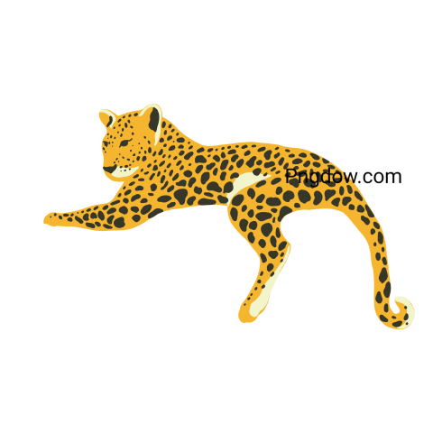 Jungle leopard, transparent Background image free
