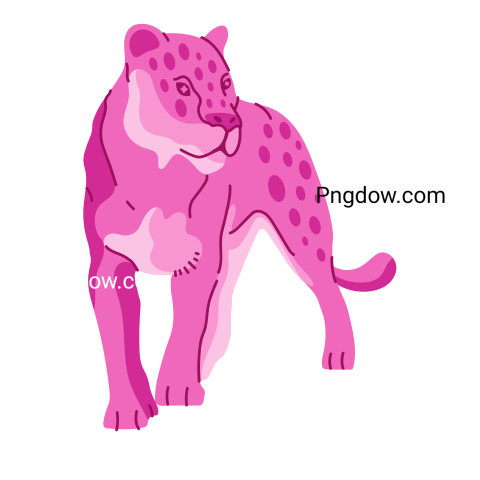 Pink Leopard Wild Feline, transparent Background image free