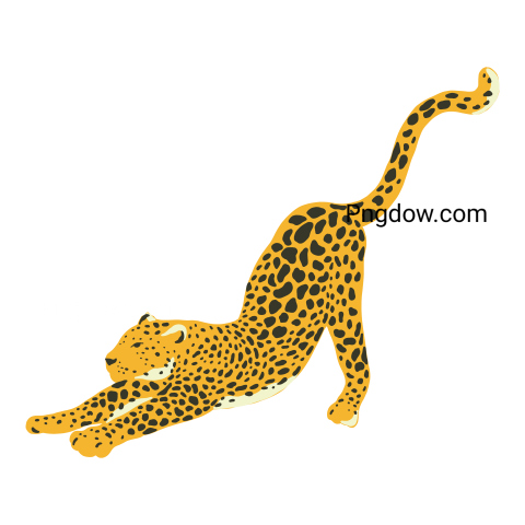 Jungle leopard, transparent Background image, free