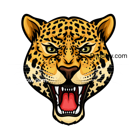 Leopard Head, transparent Background image free