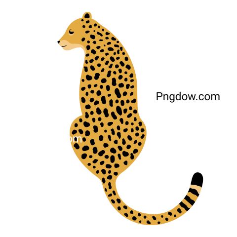 Illustration of Leopard, transparent Background image