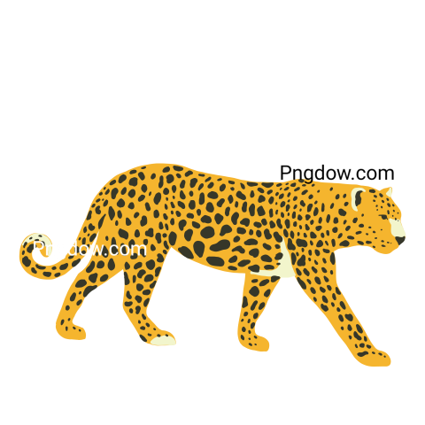 Jungle leopard, transparent Background image