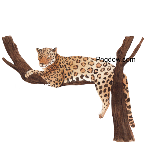 Leopard Sitting on a Branch, transparent Background, free vector