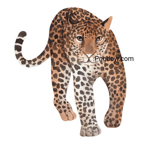 Walking Leopard Icon, Png image for free