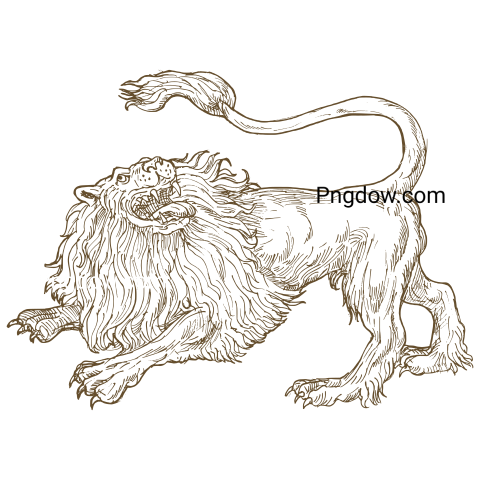 Lion, transparent Background free