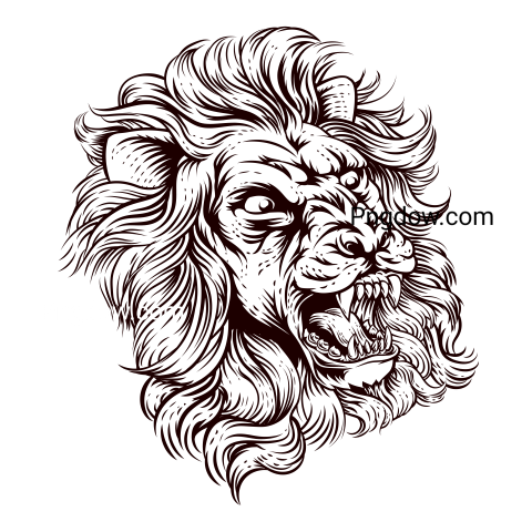 Roaring Lion in in Engraved Style Illustration