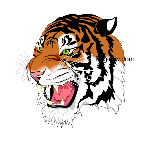 Face of a Tiger Illustration, transparent Background free