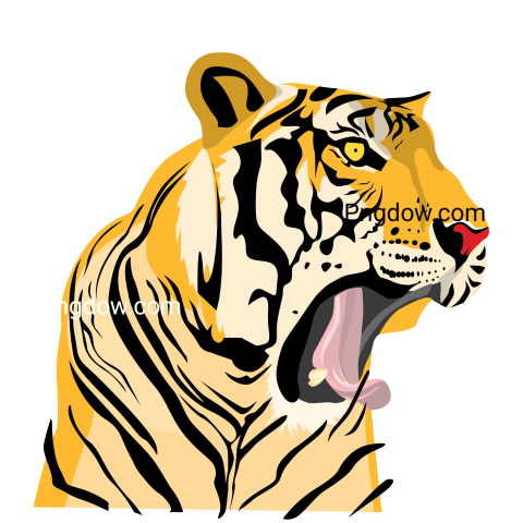 Head of Tiger Illustration, transparent Background free