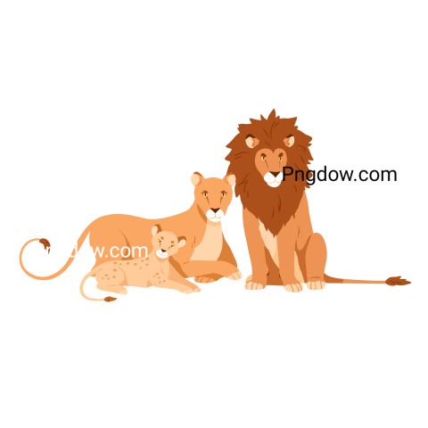 Family of Lion, transparent Background free
