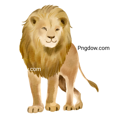 Lion watercolor, transparent Background free