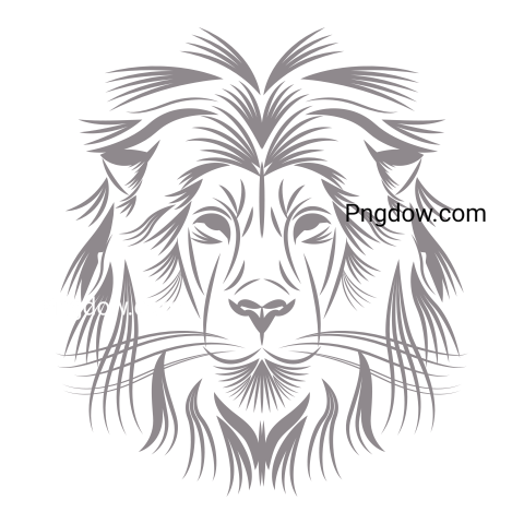 Outline of a Lion Face, transparent Background