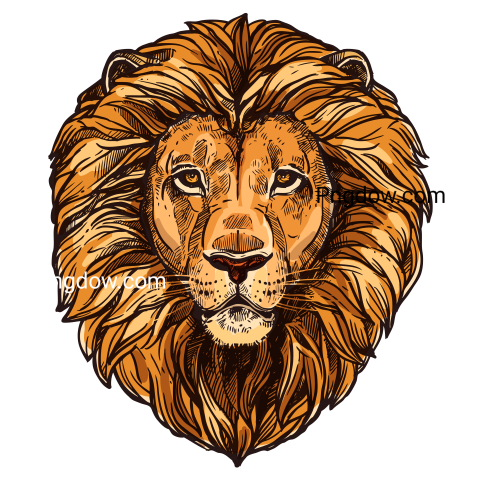 African Lion Head Isolated Wild Leo Cat Sketch, transparent Background