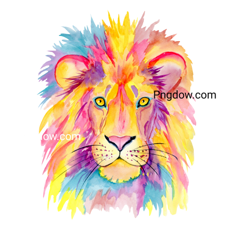 Colorful watercolor lion  Cute animals illustration, transparent Background