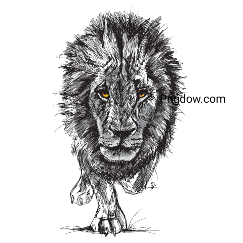 Big Male African Lion, transparent Background for free