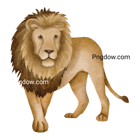 Watercolor lion, Png for free