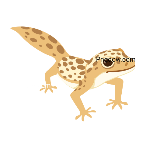 Cute small gecko lizard cartoon style, transparent Background