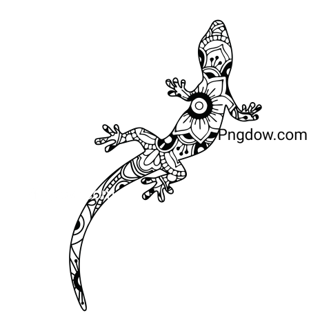 Gecko or Lizard with Mandala Vector, transparent Background