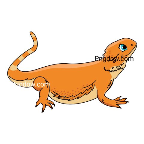 Smiling Orange Lizard, transparent Background free