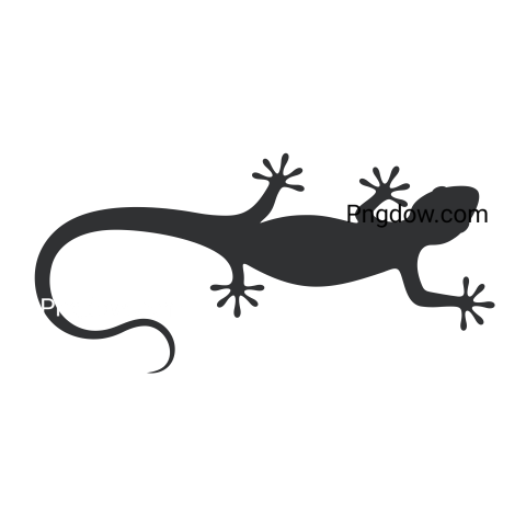 Isolated Lizard Silhouette, transparent Background free