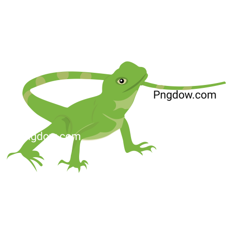 Lizard, transparent Background free vector illustration