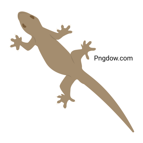 Mosasaurus Lizard, transparent Background