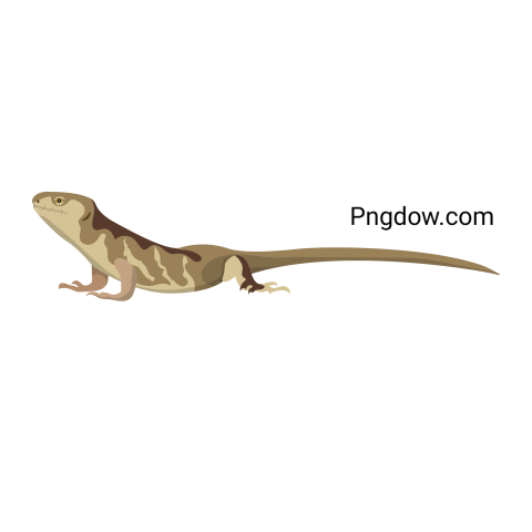 Striped Lizard Illustration, transparent Background for free