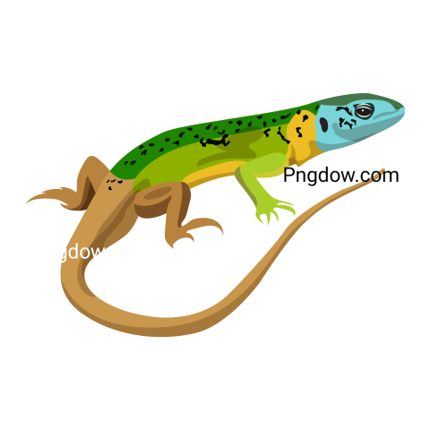European Green Lizard, transparent Background for free