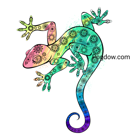 Rainbow Gecko with Flower Design, transparent Background
