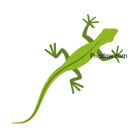 Lizard Icon in Flat Style, transparent Background