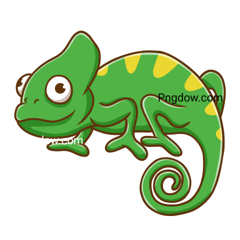 Illustration of an Iguana, transparent Background