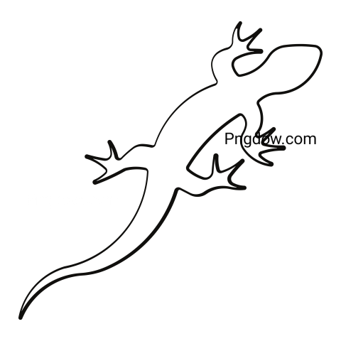 Anole Lizard Icon, transparent Background