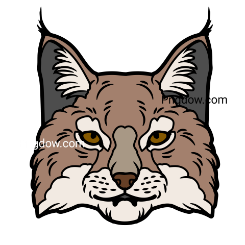 Lynx Png transparent Background, free illustration, (40)