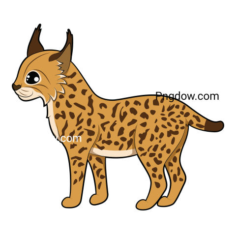 Lynx Png transparent Background, free illustration, (30)