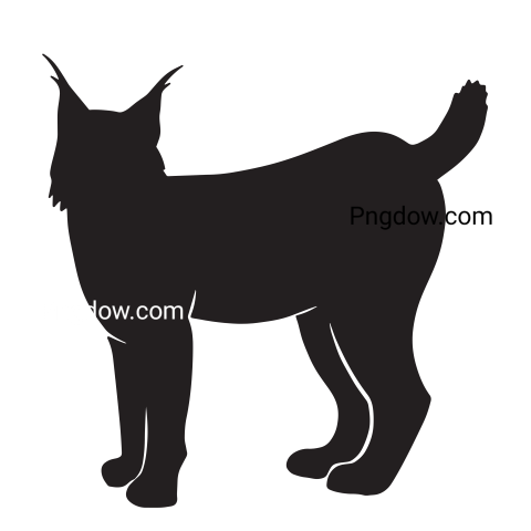 Lynx Png transparent Background, free illustration, (19)