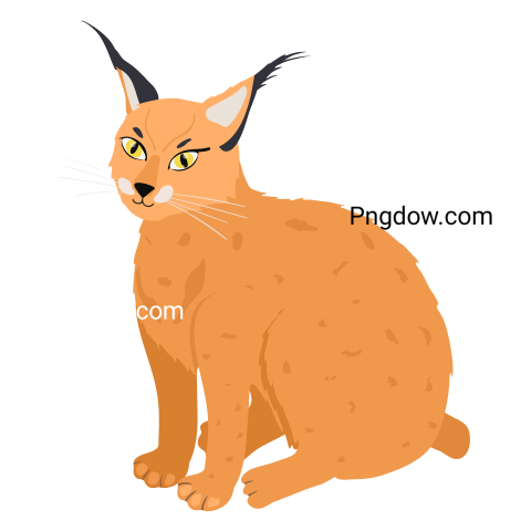 Lynx Png transparent Background, free illustration, (21)