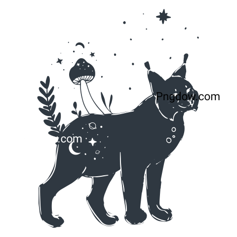Lynx Png transparent Background, free illustration, (22)