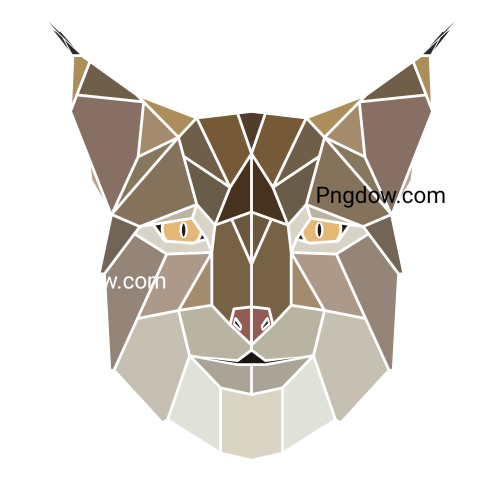 Lynx Png transparent Background, free illustration, (3)