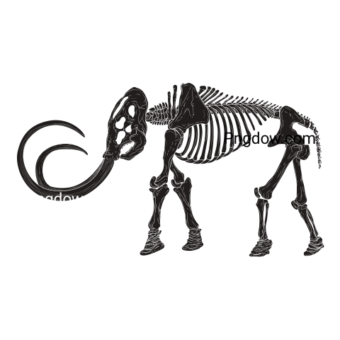 Mammoth Skeleton Icon, transparent Background
