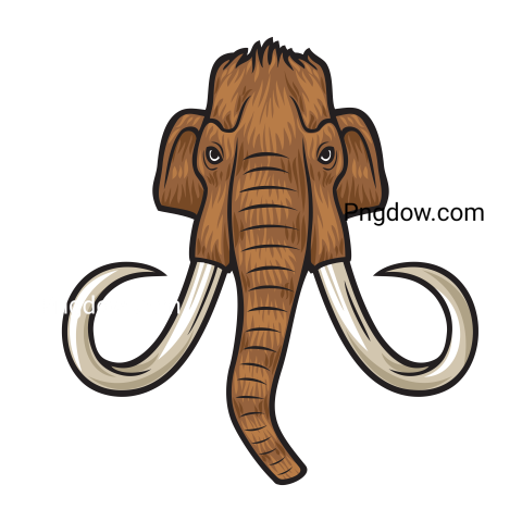 Mammoth Head, transparent Background